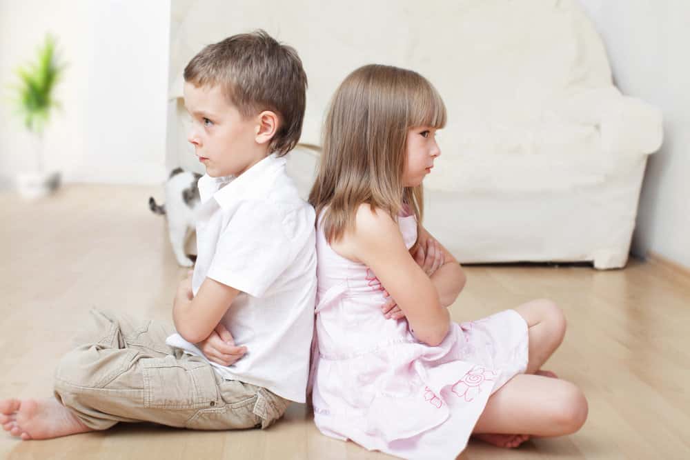 Freedom From Sibling Conflict And Sibling Battles