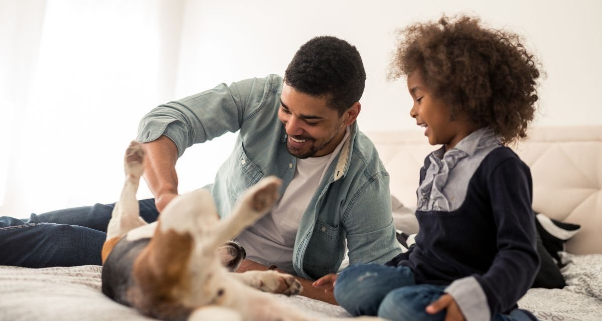 The Family Pet:  Yes, No and How?