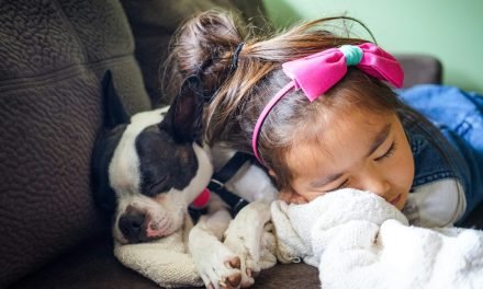 The Family Pet: Yes, No and How?