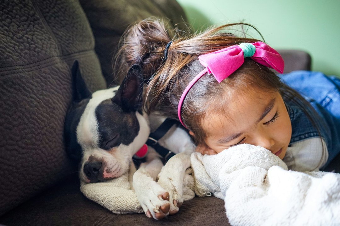 family-pet-and-children