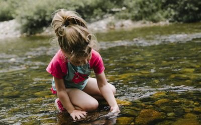 The Stunning Discovery: Children Actually Need Play