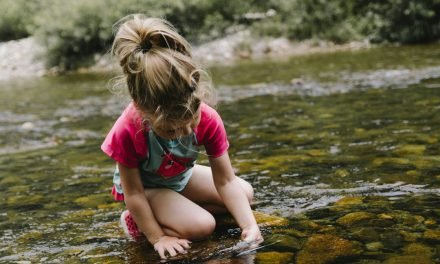 The Stunning Discovery: Children Actually Need Play