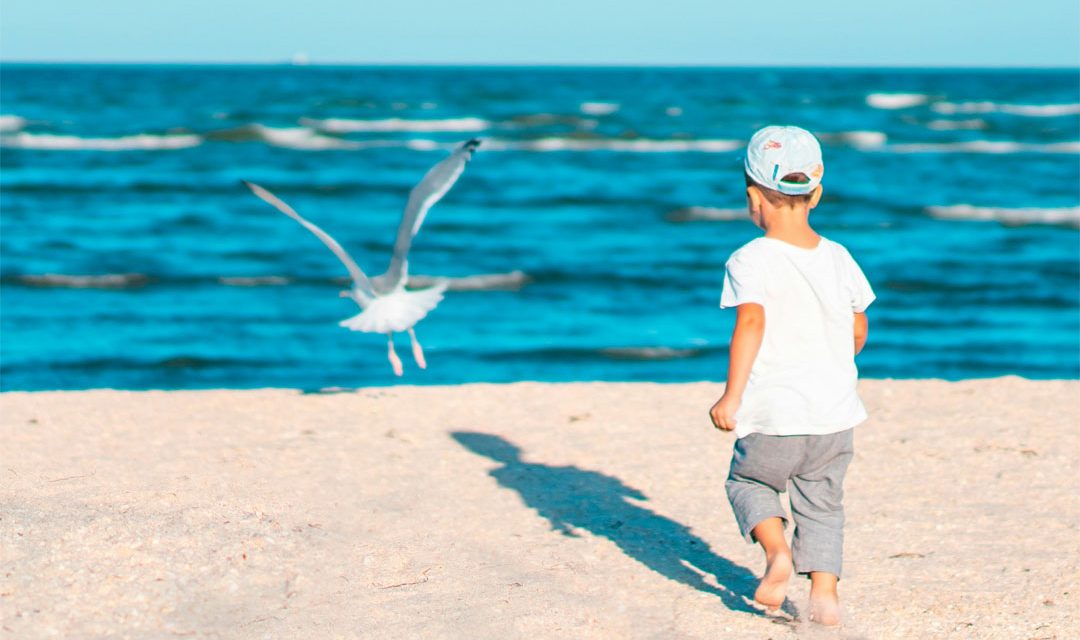 The Balanced Summer: A Simple Plan for Fun, Freedom, and Responsibility