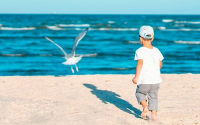 The Balanced Summer: A Simple Plan for Fun, Freedom, and Responsibility
