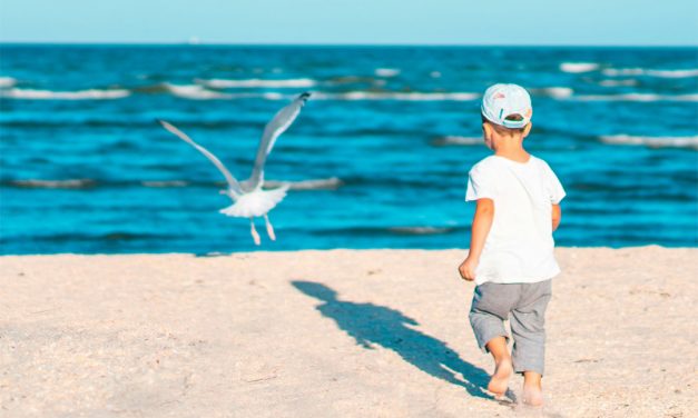 The Balanced Summer: A Simple Plan for Fun, Freedom, and Responsibility