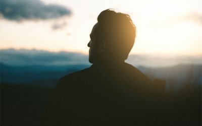 You Missed the Pause: Now What?