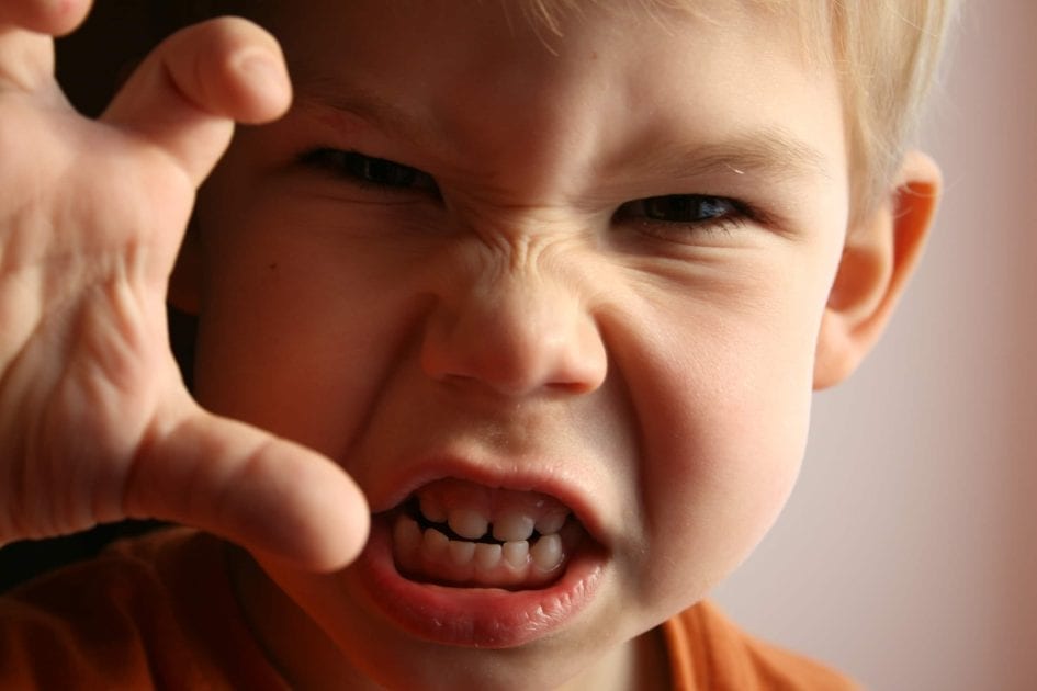 how-anger-affects-your-body-camhs-professionals